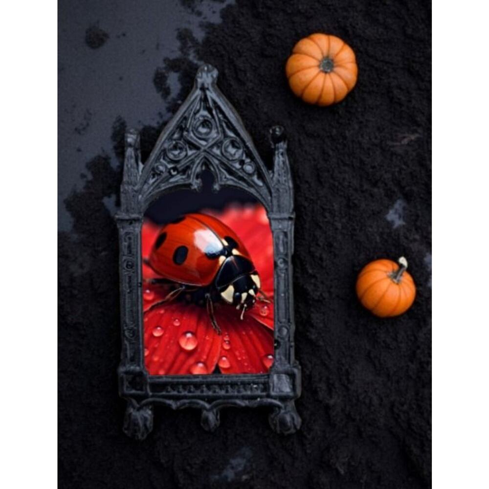 Ladybug Fridge Magnet - Bug Home Decor